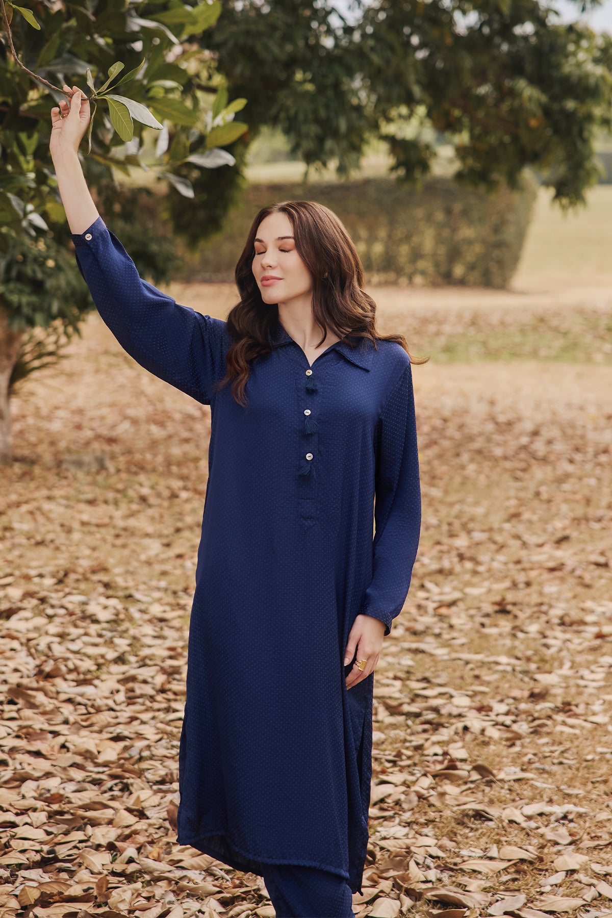 SLOE Co-ord